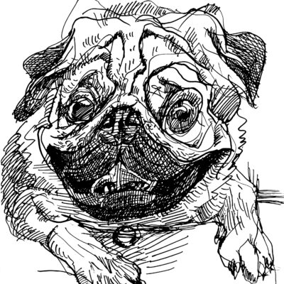 Pugsly