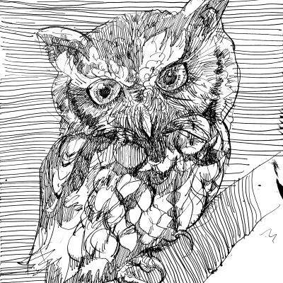 alfie the Owl