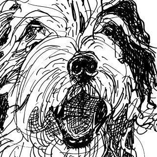 Alfie