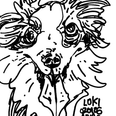 Loki